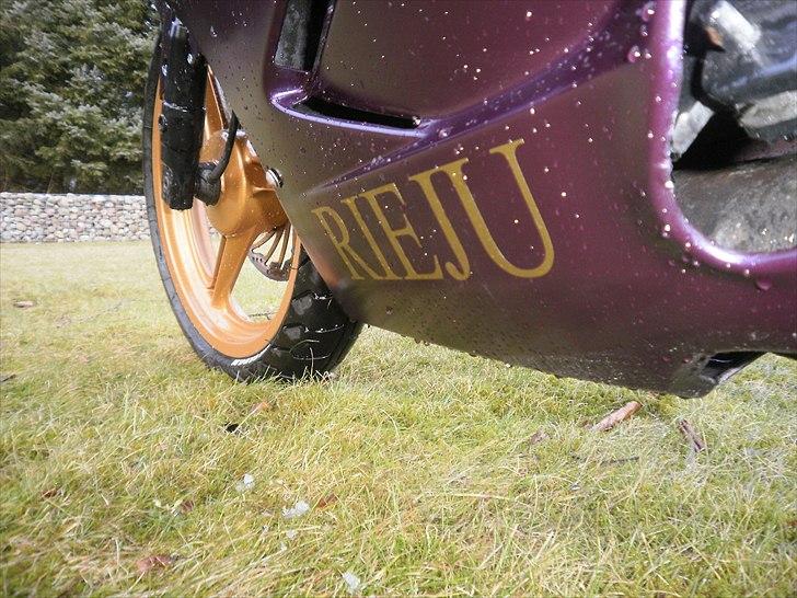 Rieju Matrix Limited Edition - Barsk? billede 9