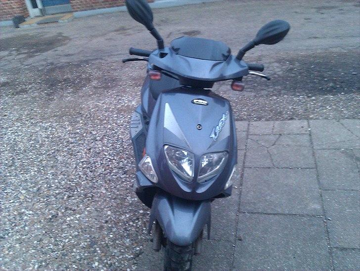 PGO t-rex solgt billede 1