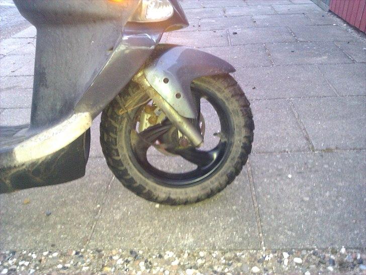 PGO t-rex solgt billede 6