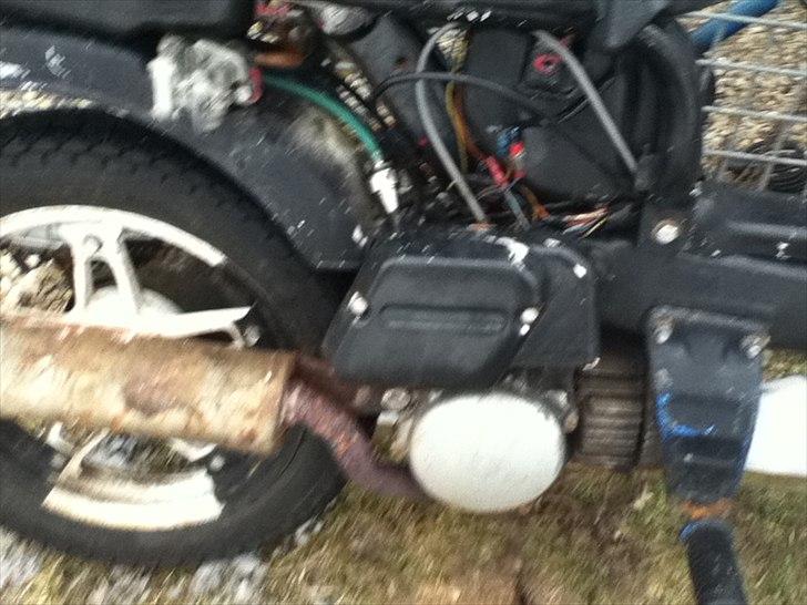 Suzuki FZ50 (solgt!) billede 4