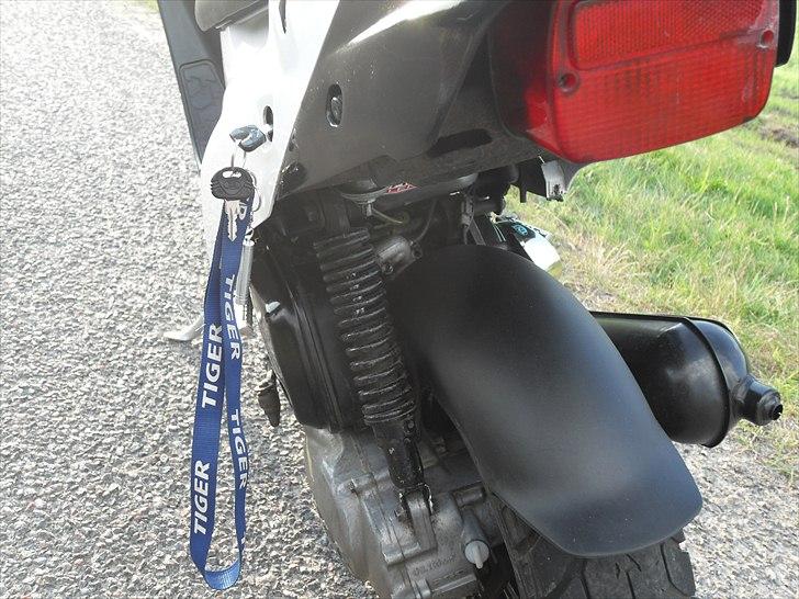 PGO Hot 50  billede 7