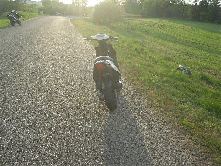 PGO Hot 50  billede 12