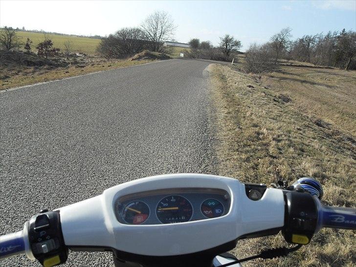 PGO Hot 50  billede 15