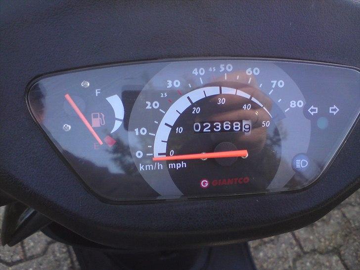 Giantco Sprint Sport  billede 11