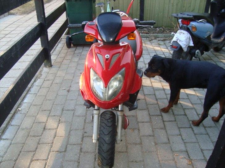 Keeway focus (projekt) til salg billede 1