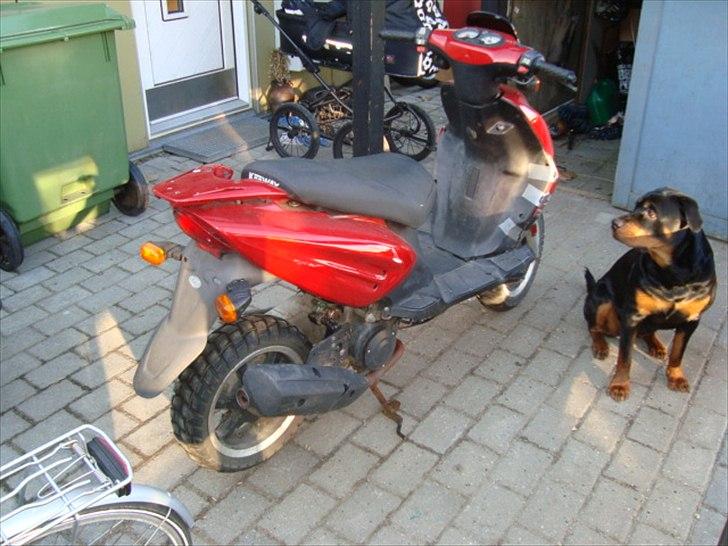 Keeway focus (projekt) til salg billede 6