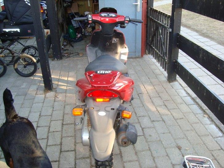 Keeway focus (projekt) til salg billede 8