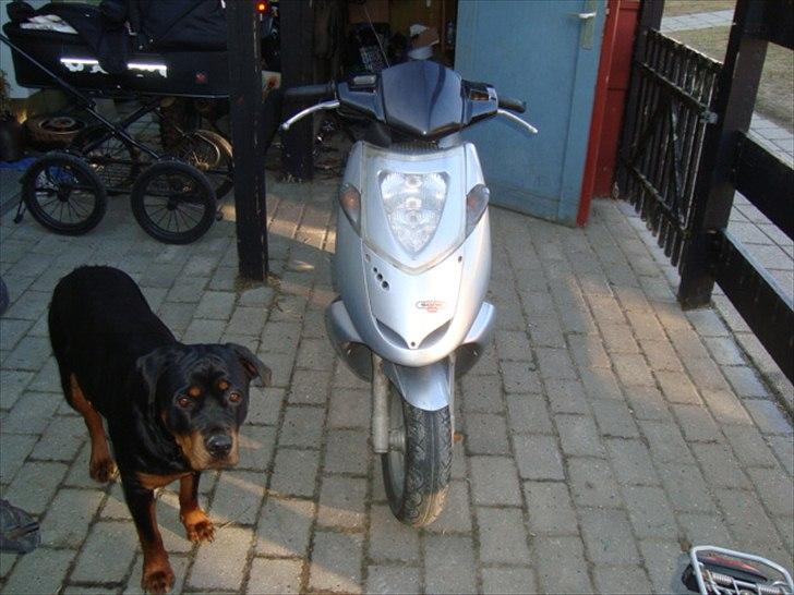 Aprilia sonic (solgt) billede 1