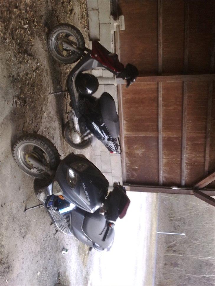 PGO hot 50 billede 1