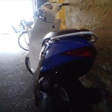 Suzuki estilete *SOLGT*