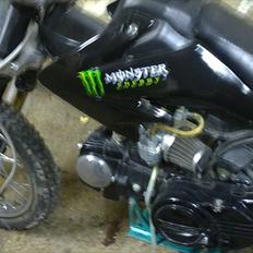 MiniBike EVIL