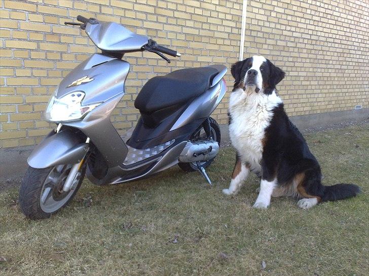 Yamaha JOG R  - jogen sammen ENZO billede 11