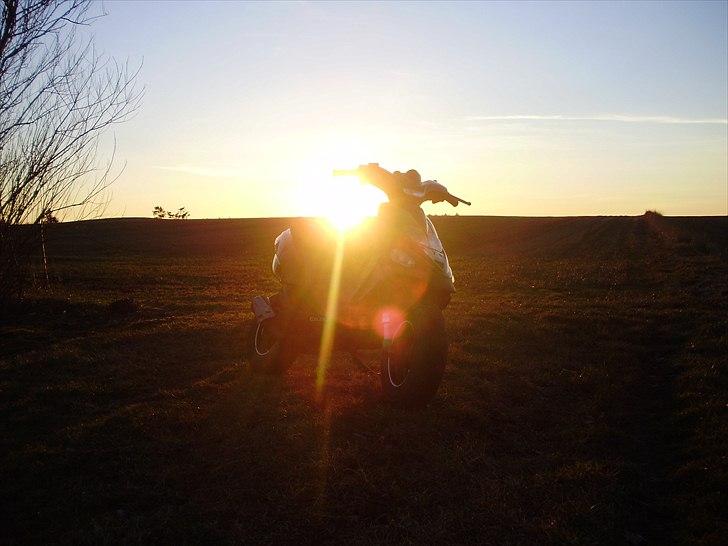 Gilera Stalker billede 10