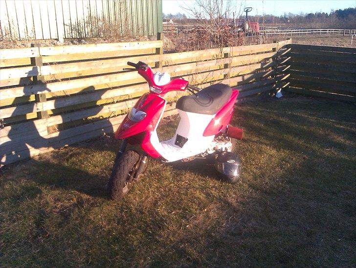 Gilera stalker AC  billede 4