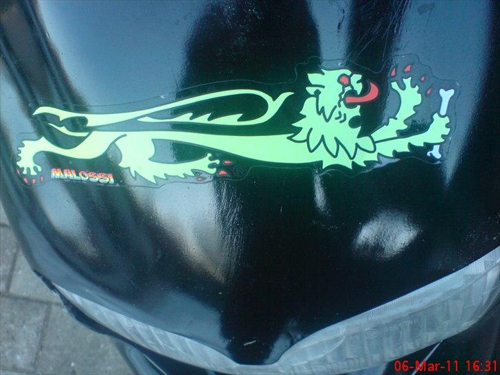 Honda Sfx Byttet til HOT 50 billede 1