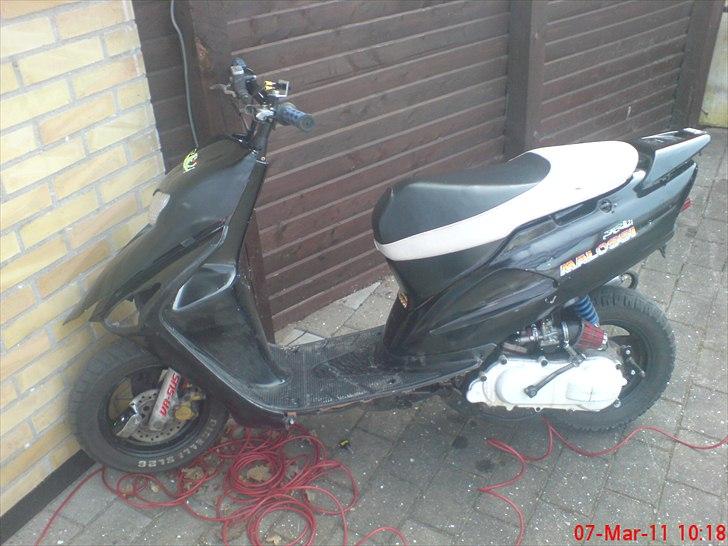 Honda Sfx Byttet til HOT 50 billede 12