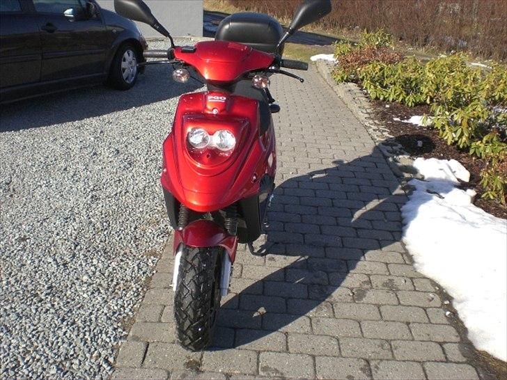 PGO big max billede 2