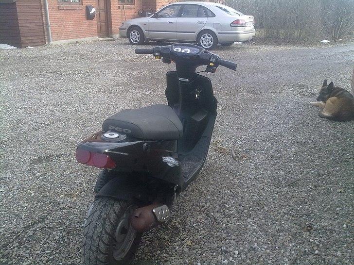 PGO hot 50 byttet :( - foto modellen ved siden af den :D billede 8