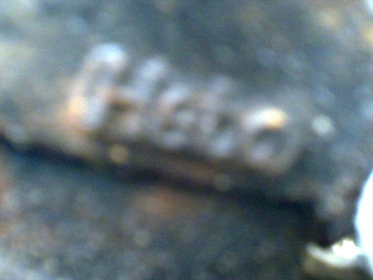 PGO hot LC BYTTE med pgo hot billede 8