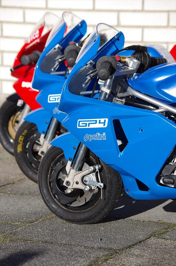 Polini 911 GP4 For Race billede 2