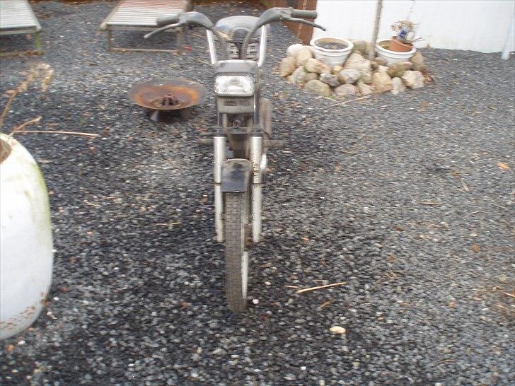 Puch Maxi P1 Projekt billede 5