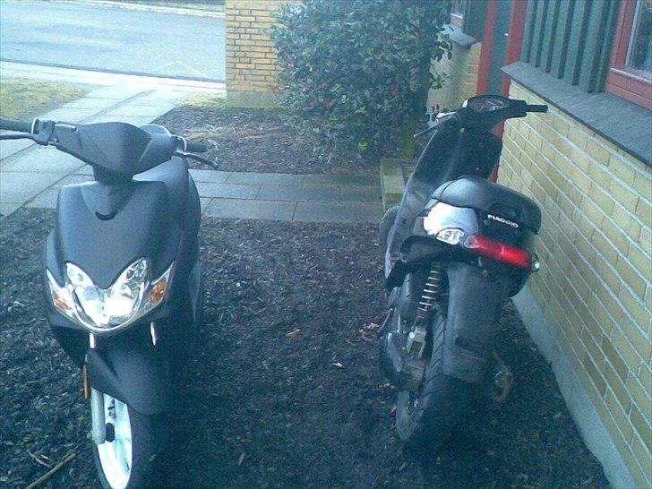 Piaggio Typhoon Byttet til maxi billede 3