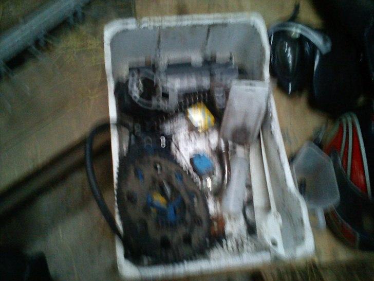 Suzuki SMX billede 15