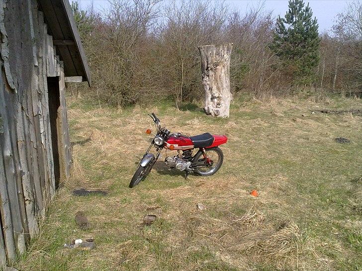 Suzuki DM50 samurai billede 11