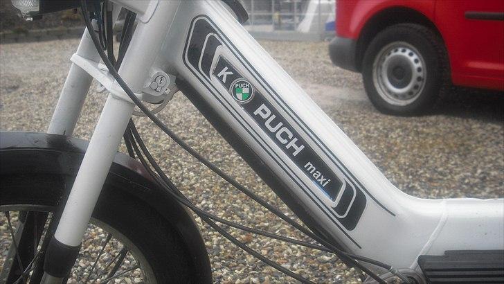 Puch Maxi K (efter) billede 5
