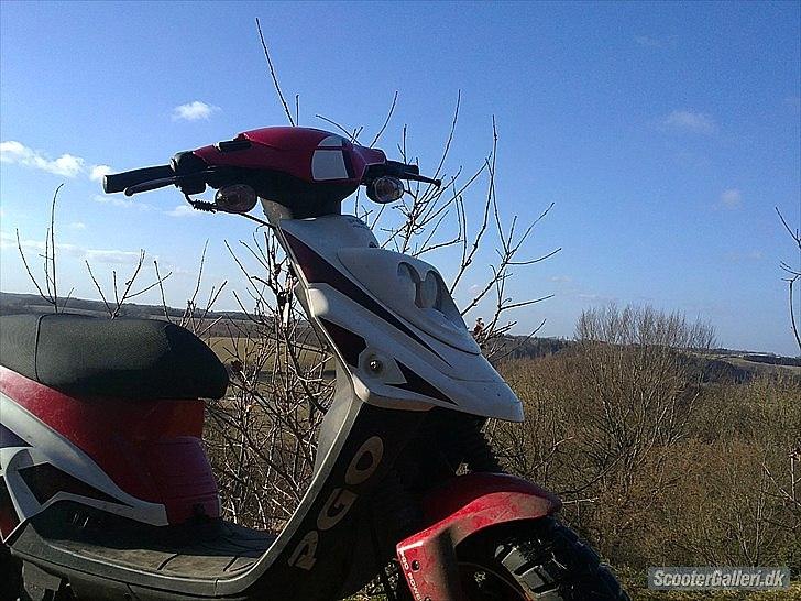 PGO HOT 50  billede 2