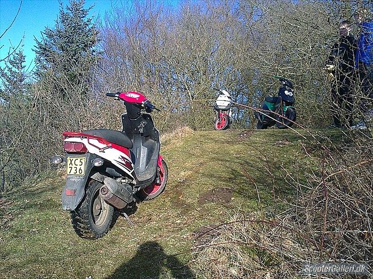 PGO HOT 50  billede 3