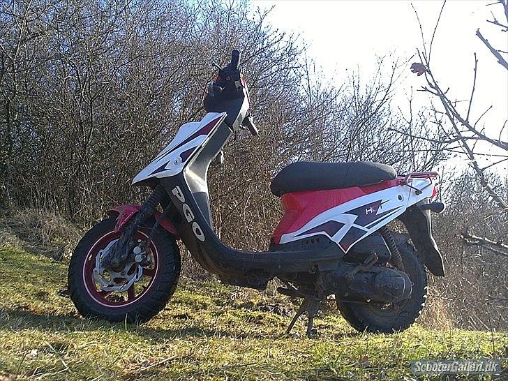 PGO HOT 50  billede 4