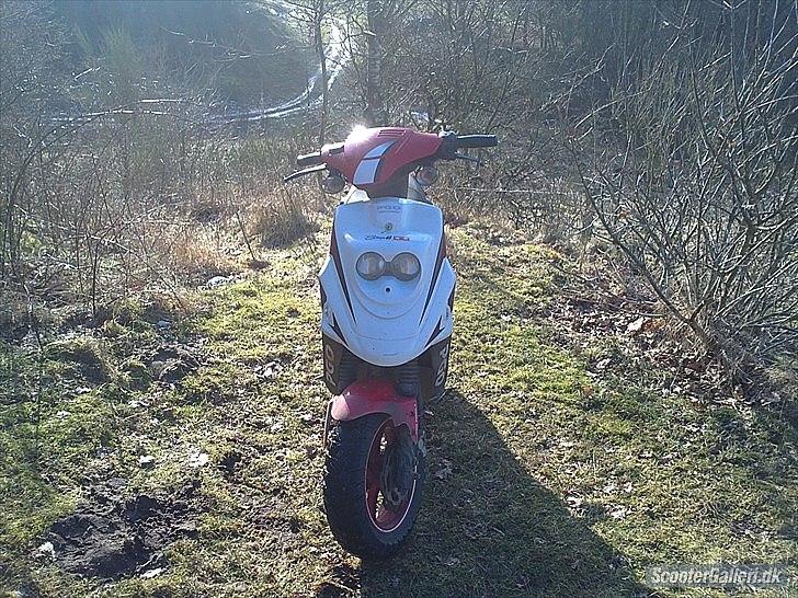 PGO HOT 50  billede 5