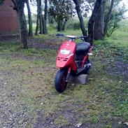 Piaggio Typhoon X (Solgt)