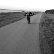 Piaggio Typhoon X (Solgt)