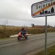 Piaggio Typhoon X (Solgt)