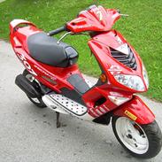 Peugeot Speedfight 2 #307 WRC