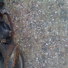 Giantco sprint SOLGT