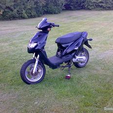 CPI Popcorn (møgsvinet)