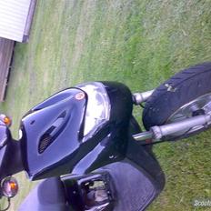 CPI Popcorn (møgsvinet)