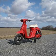 Honda Melody - Polini evo