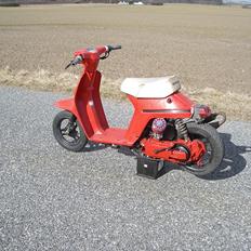 Honda Melody - Polini evo