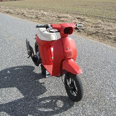 Honda Melody - Polini evo