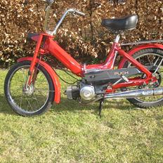 Puch Maxi P *Solgt*