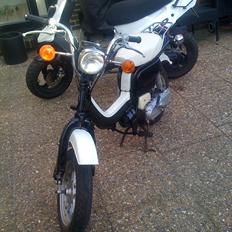 Suzuki FZ50