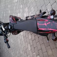 Apollo Orion   Selges