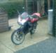 Aprilia rs 50 tuono