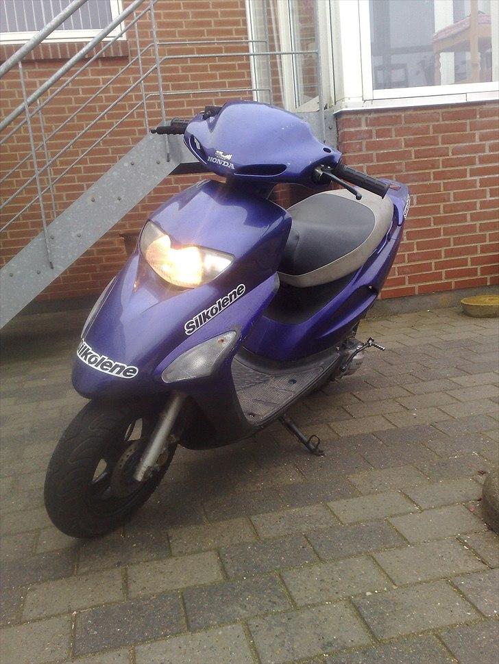 Honda Sfx - Solgt billede 4