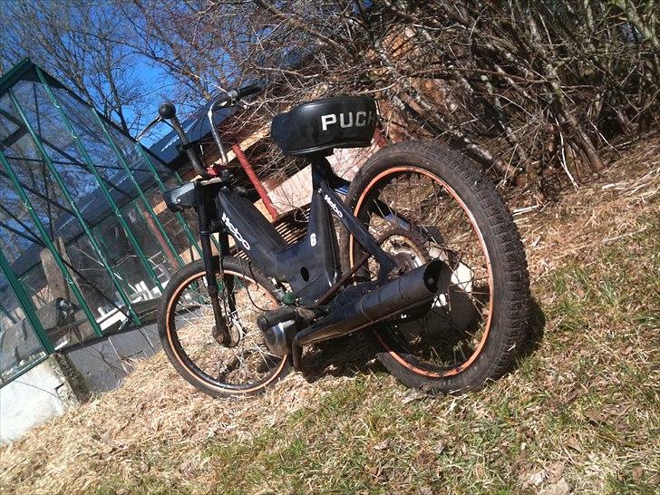Puch Maxi ''Death'' Solgt billede 1