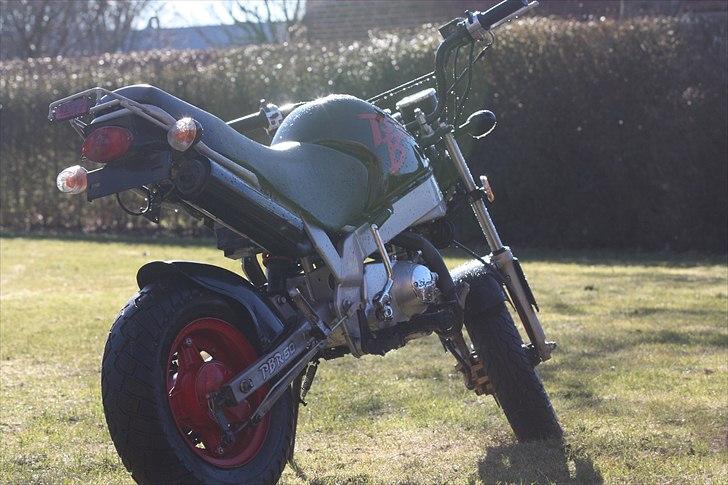 Skyteam Pbr billede 4